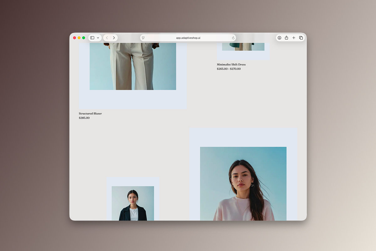 AdaptiveShop interface