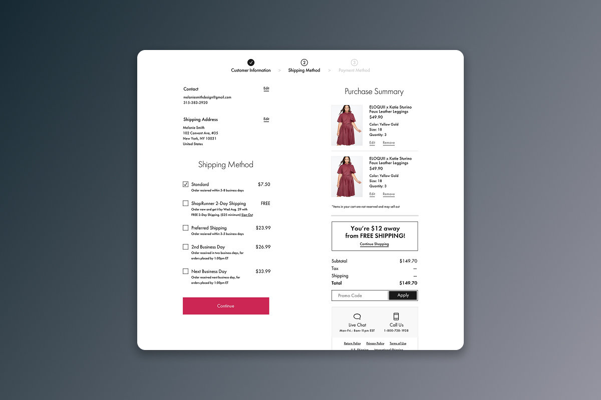 Shipping options expose timing and cost, while completed customer information stays available to review or edit.